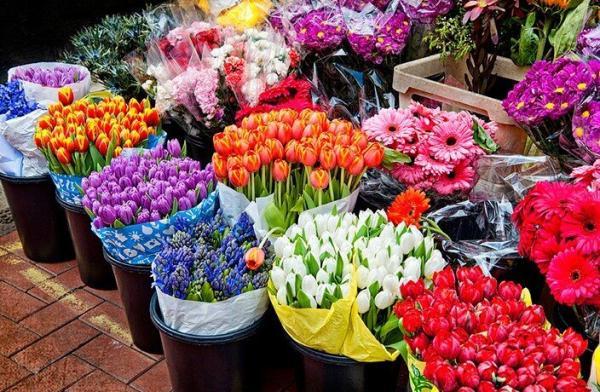 معرفی 9 بازار گل در تهران ، این روستای ناشناخته مرکز گل و گیاه کشور است ، برترین جا برای خرید گل مصنوعی در تهران